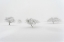 Picture of IN THE FOG