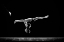 Picture of INVERTED