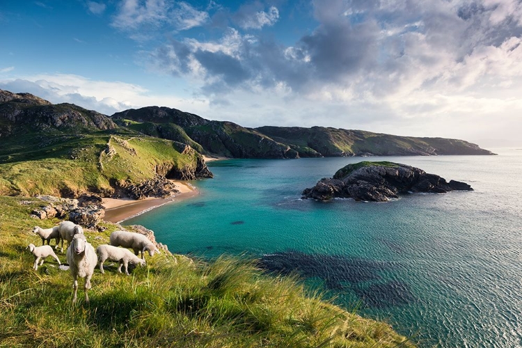 Picture of IRISH COAST