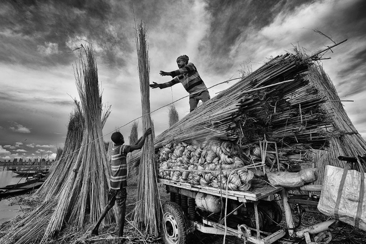 Picture of JUTE STRAWS - MEN AT WORK