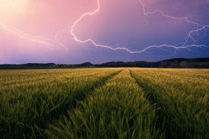 Picture of LIGHTNING