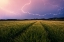 Picture of LIGHTNING