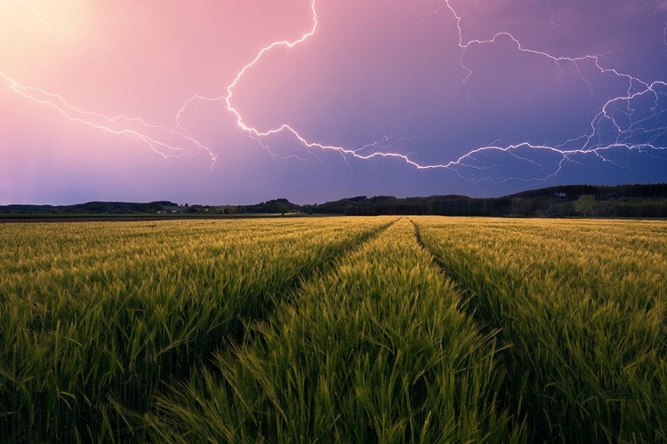 Picture of LIGHTNING