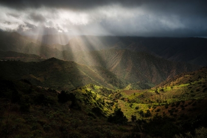 Picture of MAGIC RAYS