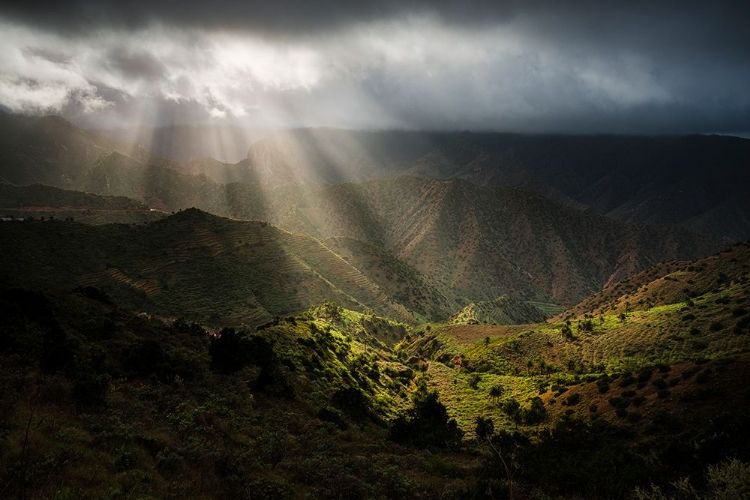 Picture of MAGIC RAYS