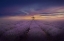 Picture of MISTY LAVENDER FIELD