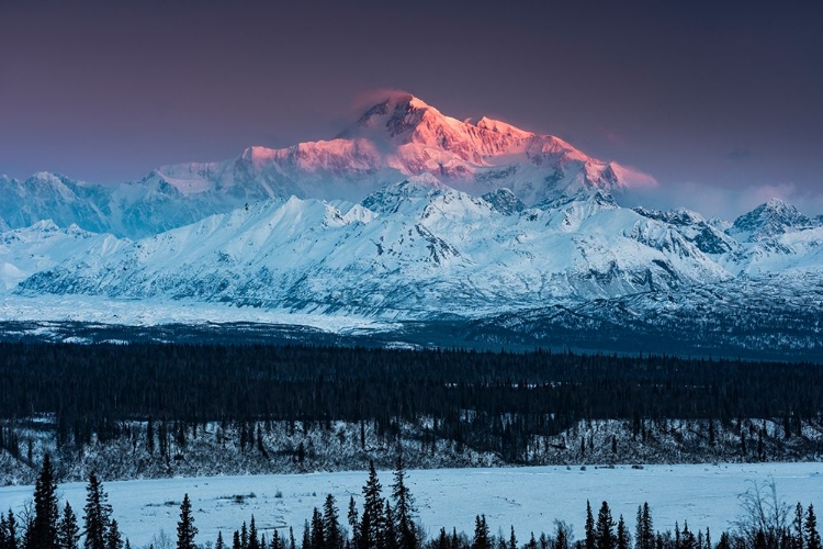 Picture of MOUNT DENALI