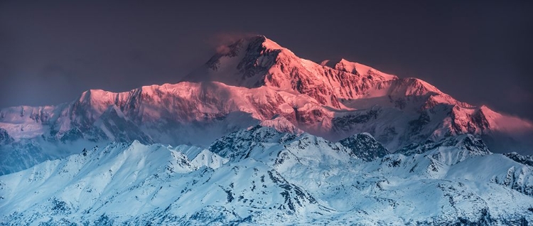 Picture of MOUNT DENALI PANORAMA