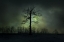 Picture of MYSTERY