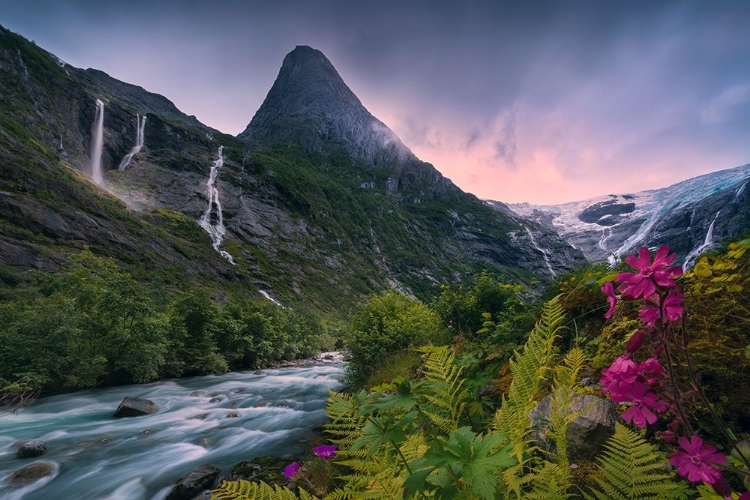 Picture of PARADISE NORWAY