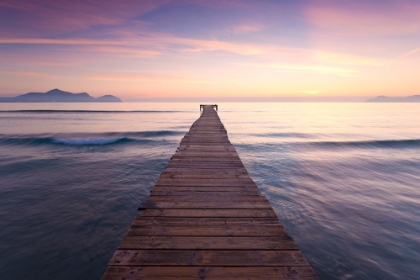 Picture of PURPLE JETTY