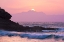 Picture of PURPLE MORNING