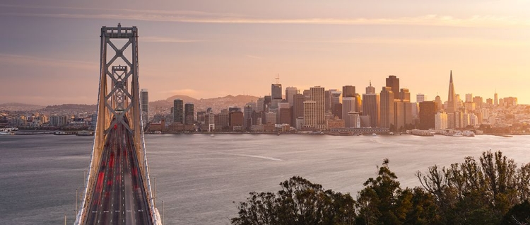 Picture of SAN FRANCISCO PANORAMA