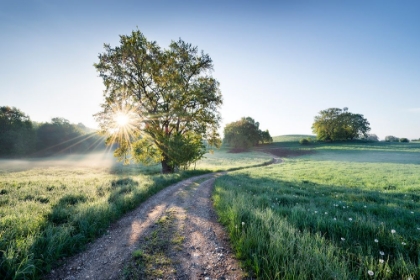 Picture of SPRING PATH