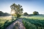 Picture of SPRING PATH