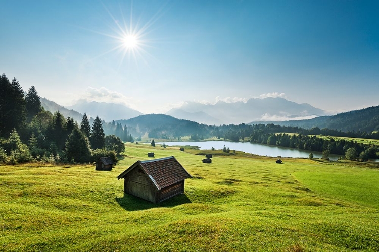 Picture of SUMMER MEADOW