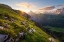 Picture of SUMMER MEADOW