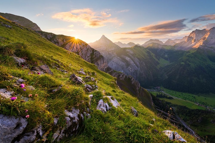 Picture of SUMMER MEADOW