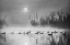 Picture of SUN RISING OVER SWAN LAKE