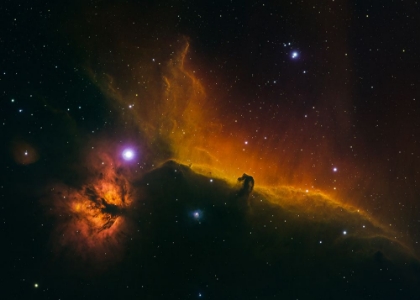 Picture of THE HORSEHEAD AND FLAME NEBULAE