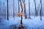 Picture of THE LAST AUTUMN LEAVES
