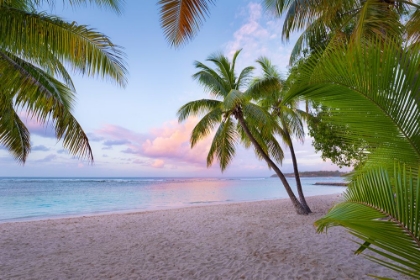 Picture of TROPICAL BEACH
