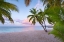 Picture of TROPICAL BEACH