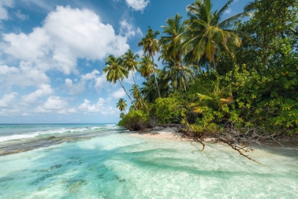 Picture of TURQUOISE BAY