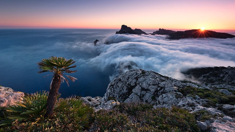 Picture of TWILIGHT LOOKOUT