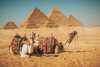 Picture of VISIT TO THE PYRAMIDS