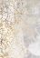 Picture of ABSTRACT GOLD PEONIES LINE ART CONCRETE