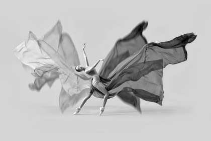 Picture of BALERINA BUTTERFLY DANCE