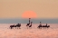 Picture of BEAUTIFUL MORNING!