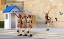 Picture of CHANGING OF THE GUARD