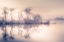 Picture of COLD MORNING AT THE POND