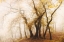 Picture of DANCING TREES