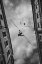 Picture of EQUILIBRIUM