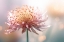 Picture of GENTLE PINK FLOWER