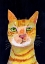 Picture of GINGER CAT