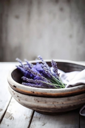 Picture of LAVENDER IN BOWL