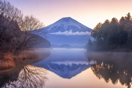 Picture of MT. FUJI IN WINTER