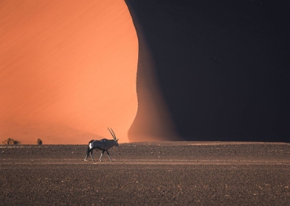 Picture of NAMIBIA IMPRESSIONS