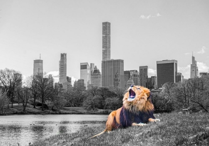 Picture of NEW YORK ROAR