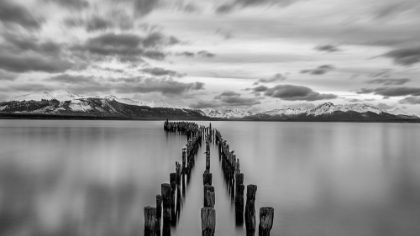 Picture of OLD WOODEN BRIDGE