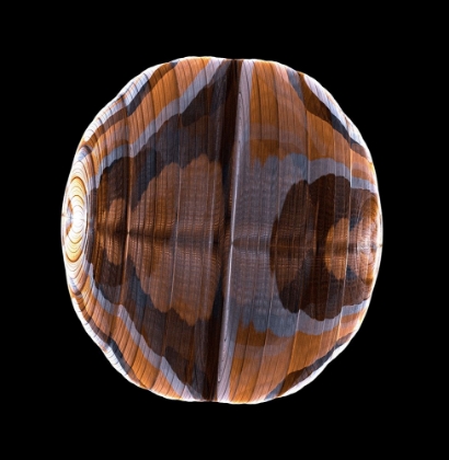 Picture of PLANET WOOD