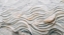 Picture of SEA SHELL DETAIL NO 6