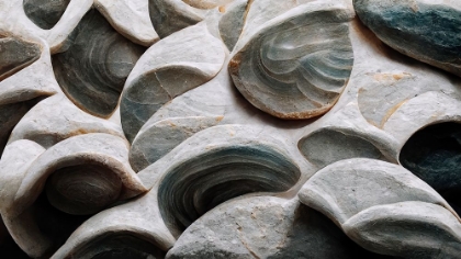 Picture of SEA SHELLS DETAIL NO 5