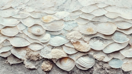 Picture of SEA SHELLS DETAIL NO 7