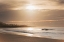 Picture of SHORELINE