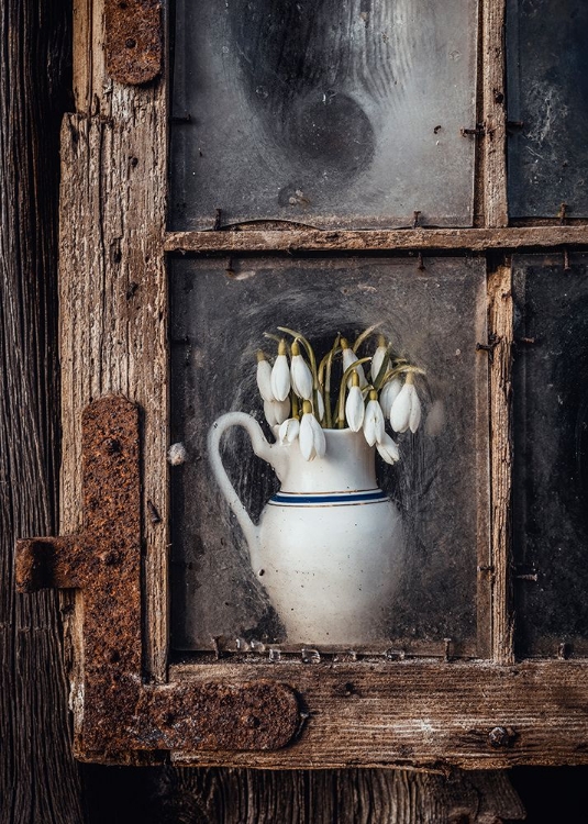 Picture of SPRING FLOWERS IN THE WINDOW